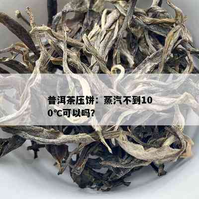 普洱茶压饼：蒸汽不到100℃可以吗？