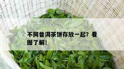 不同普洱茶饼存放一起？看图了解！