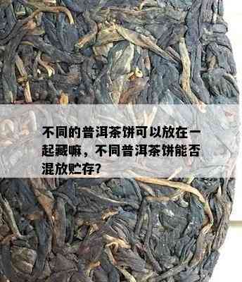 不同的普洱茶饼可以放在一起藏嘛，不同普洱茶饼能否混放贮存？