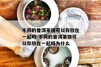 不同的普洱茶饼可以存放在一起吗-不同的普洱茶饼可以存放在一起吗为什么