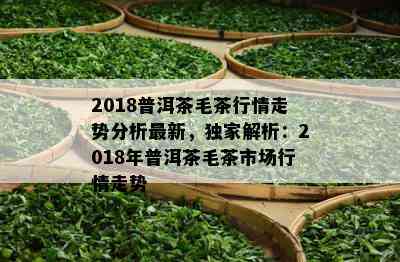 2018普洱茶毛茶行情走势分析最新，独家解析：2018年普洱茶毛茶市场行情走势