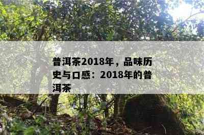 普洱茶2018年，品味历史与口感：2018年的普洱茶