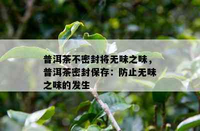 普洱茶不密封将无味之味，普洱茶密封保存：防止无味之味的发生