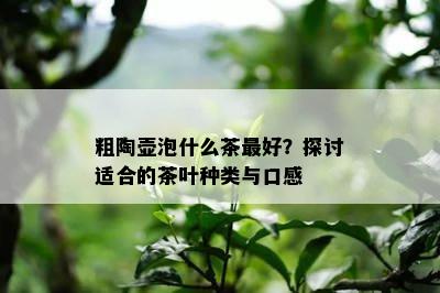 粗陶壶泡什么茶更好？探讨适合的茶叶种类与口感