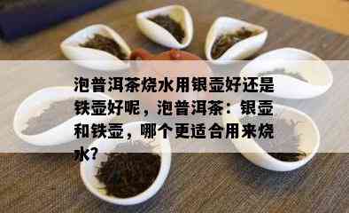 泡普洱茶烧水用银壶好还是铁壶好呢，泡普洱茶：银壶和铁壶，哪个更适合用来烧水？