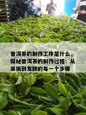 普洱茶的制作工序是什么，探秘普洱茶的制作过程：从采摘到发酵的每一个步骤