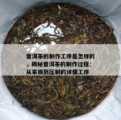 普洱茶的制作工序是怎样的，揭秘普洱茶的制作过程：从采摘到压制的详细工序