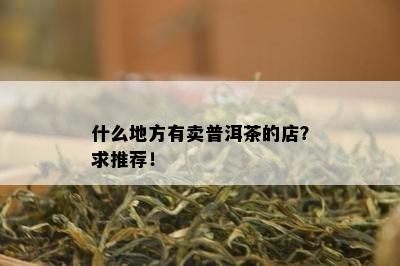 什么地方有卖普洱茶的店？求推荐！