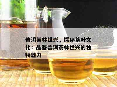 普洱茶林世兴，探秘茶叶文化：品鉴普洱茶林世兴的独特魅力