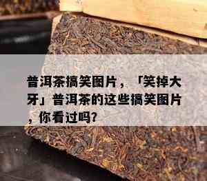 普洱茶搞笑图片，「笑掉大牙」普洱茶的这些搞笑图片，你看过吗？