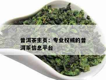 普洱茶主页：专业权威的普洱茶信息平台