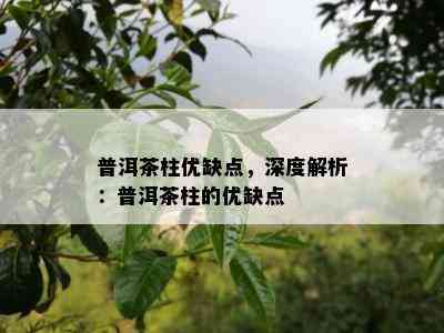 普洱茶柱优缺点，深度解析：普洱茶柱的优缺点