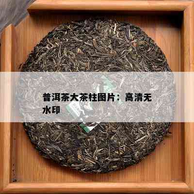 普洱茶大茶柱图片：高清无水印