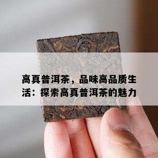 高真普洱茶，品味高品质生活：探索高真普洱茶的魅力