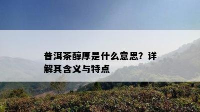 普洱茶醇厚是什么意思？详解其含义与特点