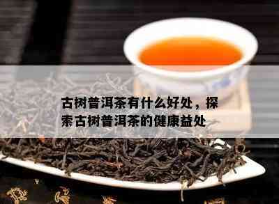 古树普洱茶有什么好处，探索古树普洱茶的健康益处