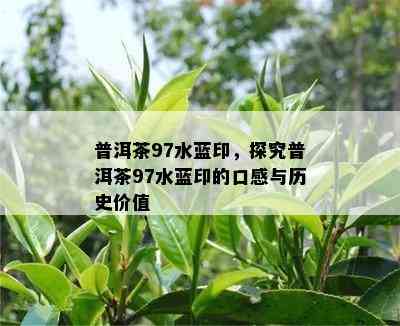 普洱茶97水蓝印，探究普洱茶97水蓝印的口感与历史价值