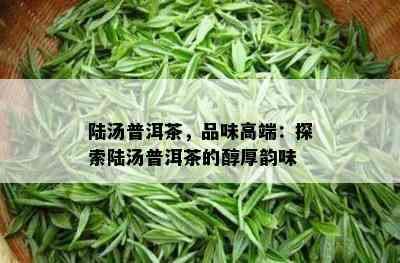 陆汤普洱茶，品味高端：探索陆汤普洱茶的醇厚韵味