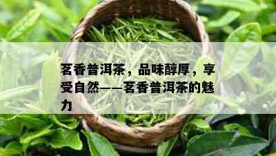 茗香普洱茶，品味醇厚，享受自然——茗香普洱茶的魅力