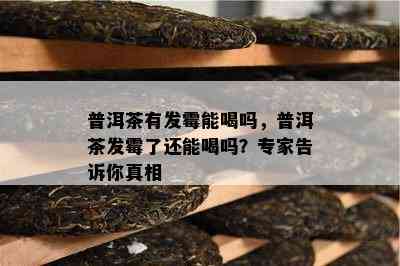 普洱茶有发霉能喝吗，普洱茶发霉了还能喝吗？专家告诉你真相