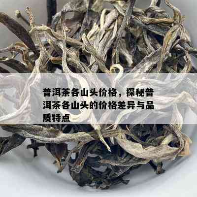 普洱茶各山头价格，探秘普洱茶各山头的价格差异与品质特点