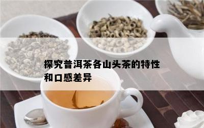 探究普洱茶各山头茶的特性和口感差异