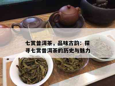 七赏普洱茶，品味古韵：探寻七赏普洱茶的历史与魅力