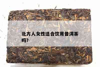 北方人女性适合饮用普洱茶吗？