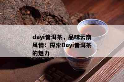 dayi普洱茶，品味云南风情：探索Dayi普洱茶的魅力