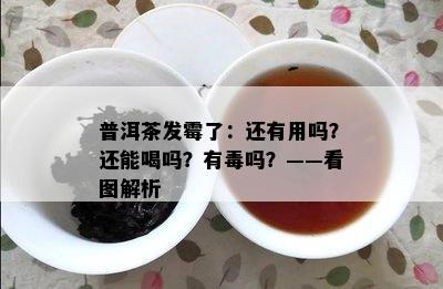 普洱茶发霉了：还有用吗？还能喝吗？有吗？——看图解析