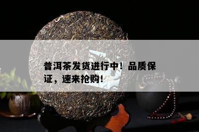 普洱茶发货进行中！品质保证，速来抢购！