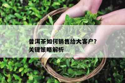 普洱茶怎样销售给大客户？关键策略解析