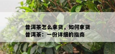 普洱茶怎么拿货，怎样拿货普洱茶：一份详细的指南