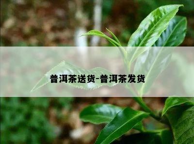 普洱茶送货-普洱茶发货