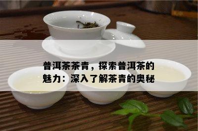 普洱茶茶青，探索普洱茶的魅力：深入熟悉茶青的奥秘