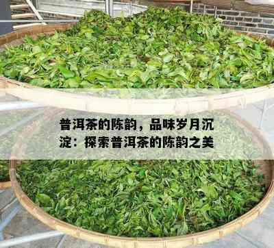 普洱茶的陈韵，品味岁月沉淀：探索普洱茶的陈韵之美