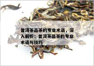 普洱茶品茶的专业术语，深入解析：普洱茶品茶的专业术语与技巧