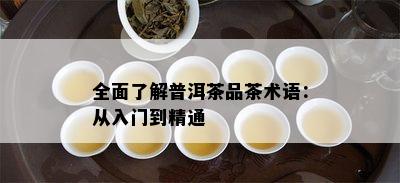 全面熟悉普洱茶品茶术语：从入门到精通