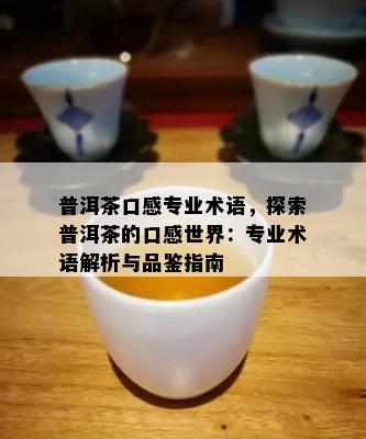 普洱茶口感专业术语，探索普洱茶的口感世界：专业术语解析与品鉴指南