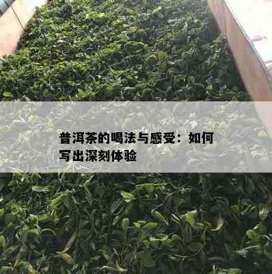 普洱茶的喝法与感受：如何写出深刻体验