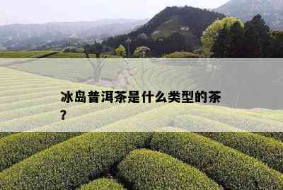 冰岛普洱茶是什么类型的茶？