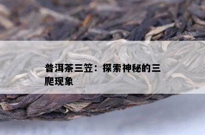 普洱茶三笠：探索神秘的三爬现象