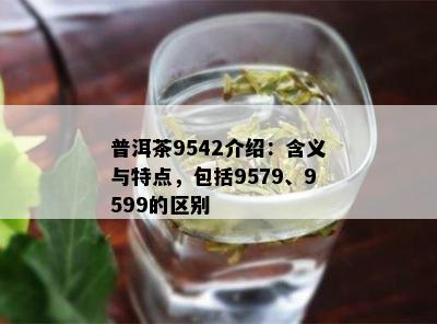 普洱茶9542介绍：含义与特点，包含9579、9599的区别