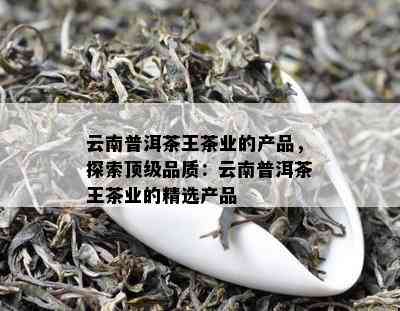 云南普洱茶王茶业的产品，探索顶级品质：云南普洱茶王茶业的精选产品