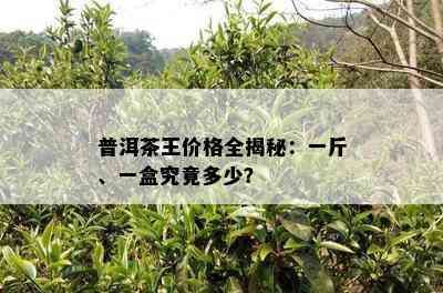 普洱茶王价格全揭秘：一斤、一盒究竟多少？