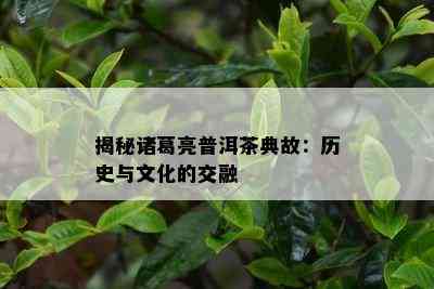 揭秘诸葛亮普洱茶典故：历史与文化的交融