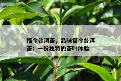 福今普洱茶，品味福今普洱茶：一份独特的茶叶体验