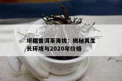 坝糯普洱茶海拔：揭秘其生长环境与2020年价格