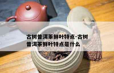 古树普洱茶鲜叶特点-古树普洱茶鲜叶特点是什么