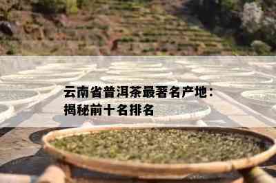 云南省普洱茶最著名产地：揭秘前十名排名